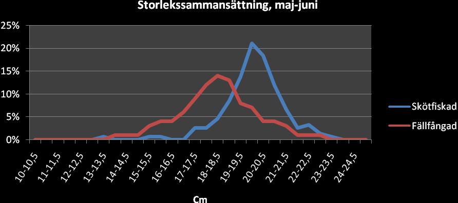 Storlekssammansättning i maj-juni Figur 3.