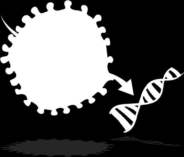 Viruskapsel Vår läkemedelskandidat CG01 DNA utbyte -