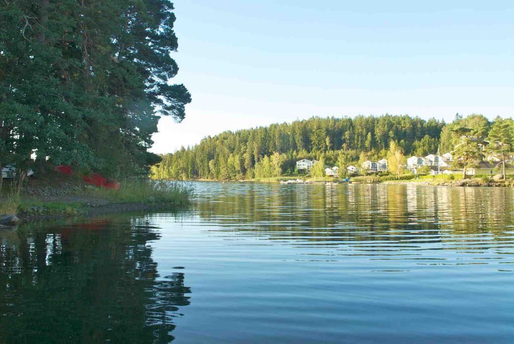 norsbeståndet. Övriga arter som fångades var gös, braxen, abborre, småspigg, storspigg, mört, löja och flodnejonöga.