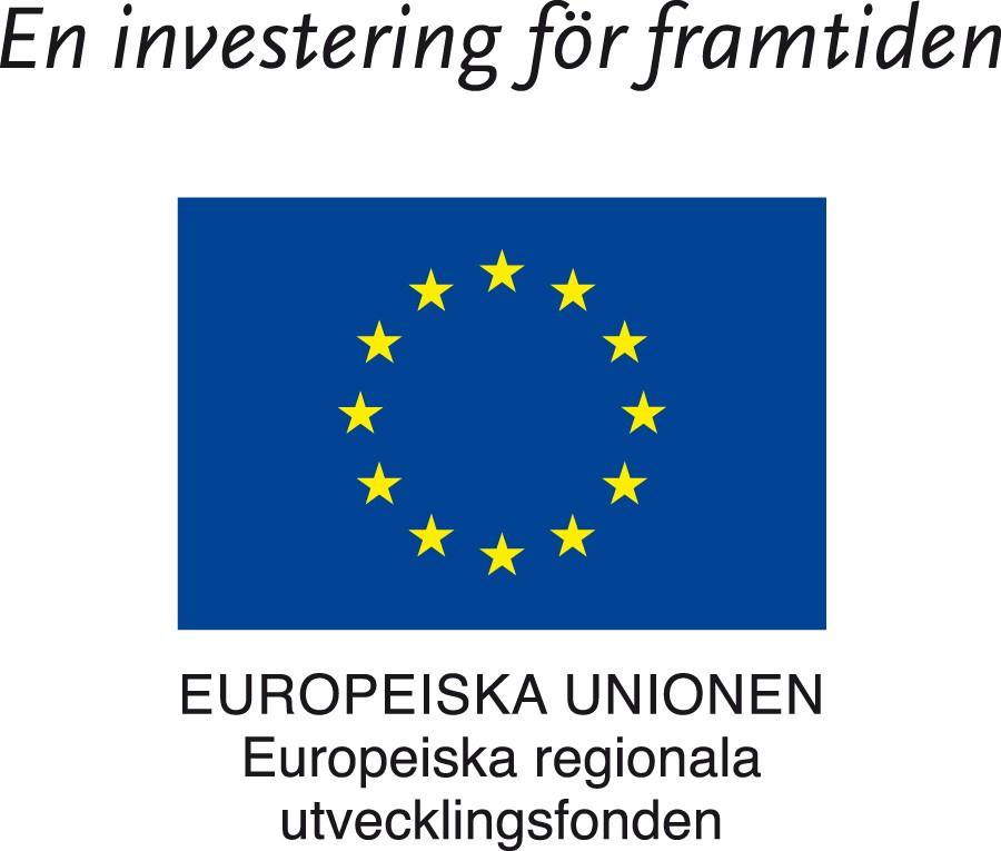 SLUTRAPPORT FÖR INTERREG-PROJEKTET "En Karolinerförening mot vision 2018"