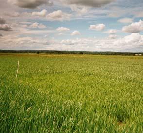 saknar fasta körspår. Projektet syftade till att testa några olika system och jämföra dem. Testen utfördes i samarbete med kollegor i Danmark.