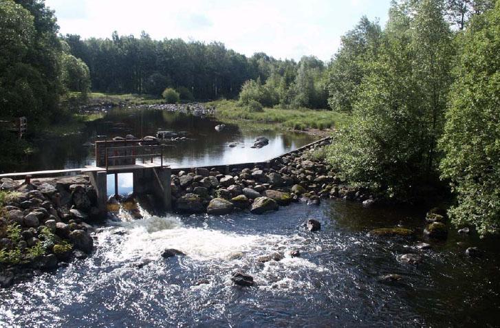 Habitatvård/Fiskevård i Säveån - Natura 2000 -