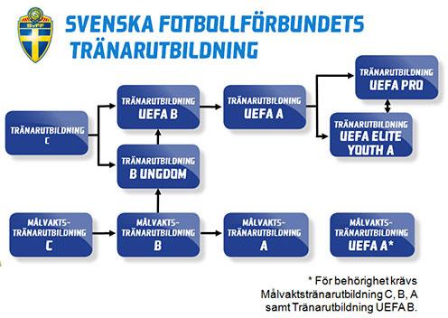 Samma struktur infördes likväl på vanliga tränarutbildningar som på MVtränarutbildningar Under verksamhetsåret 2015 är det utbildningar som framför allt varit inriktade mot barn- och ungdomstränare