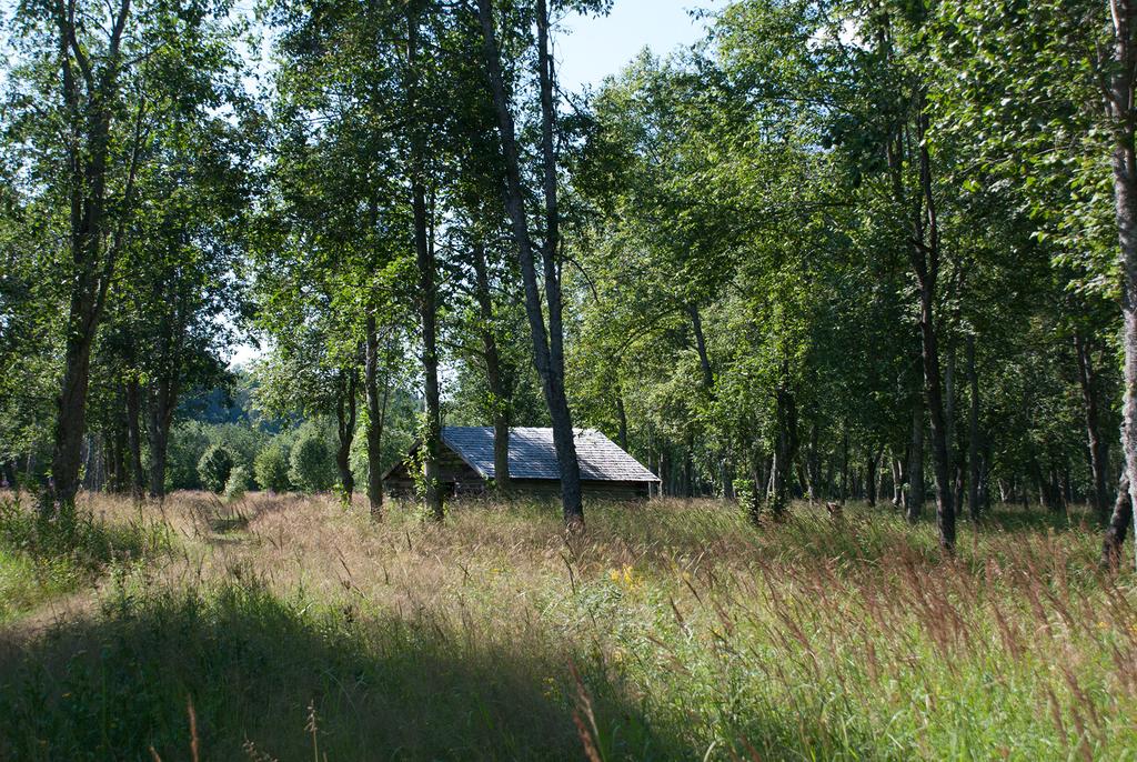 MILJÖKONSEKVENSBESKRIVNING Landskap Nedan beskrivs bedömd påverkan på landskap och landskapsbild. Nulägesbeskrivning I Nordmalings kommun finns ett flertal olika landskapstyper representerade.