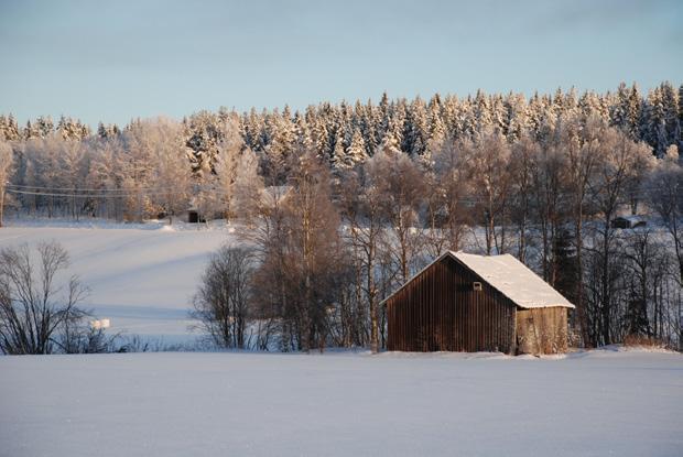 Vinterklätt odlingslandskap i Gräsmyr. Foto: Nordmalings kommun.