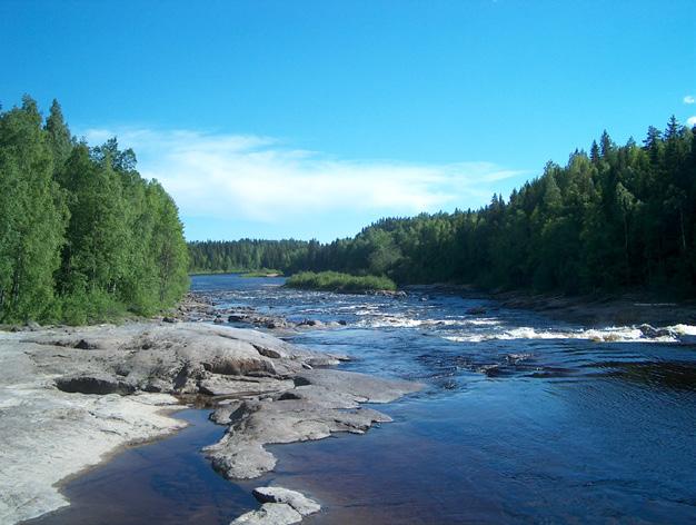 Vatten Nedan beskrivs bedömd påverkan på vattenkvalitet och vattenförekomster. Öreälven.