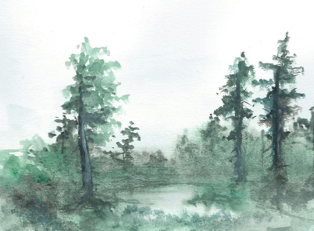 Fiffiga filter Kärr kan man säga är som en blandning mellan land och vatten. Träd och buskar kan ibland växa nästan rakt i vattnet på små öar med gräs eller mossa.