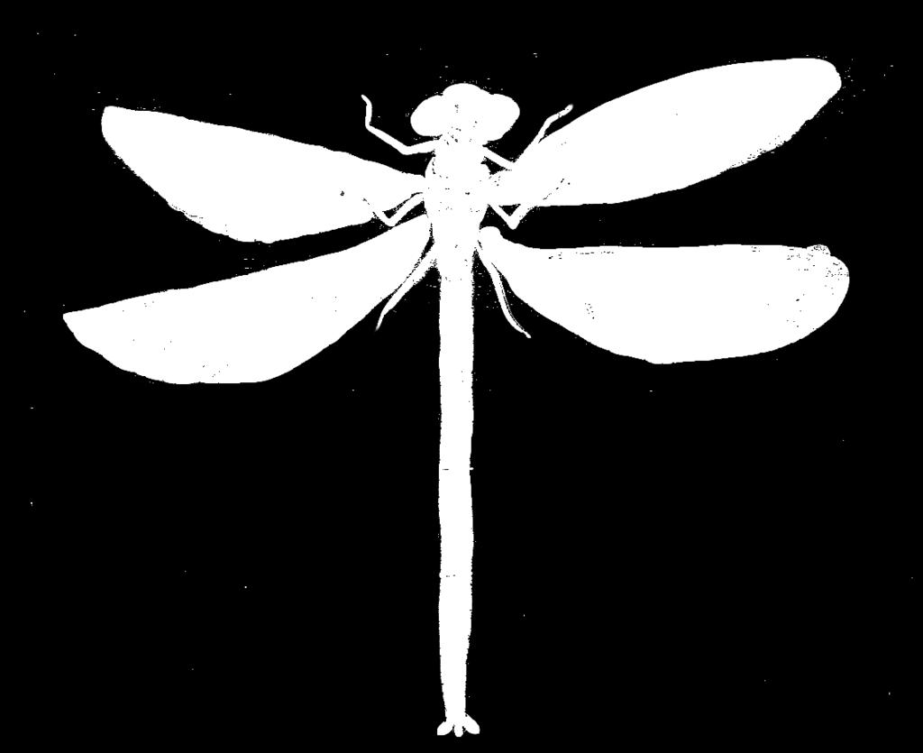 Då blir det mer mat till oss människor. Insekter, fåglar och andra djur som äter skadedjur är en ekosystemtjänst. Den kallas naturlig skadedjursreglering eller biologisk kontroll.