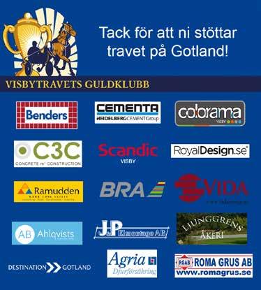 OMSÄTTNING ATT UTDELA UTDELNING RÄTT SYSTEM OMSÄTTNING ATT UTDELA UTDELNING RÄTT SYSTEM OMSÄTTNING ANTAL ANDELAR ATT UTDELA NUMMERBRICKSFÄRGER Hästarnas