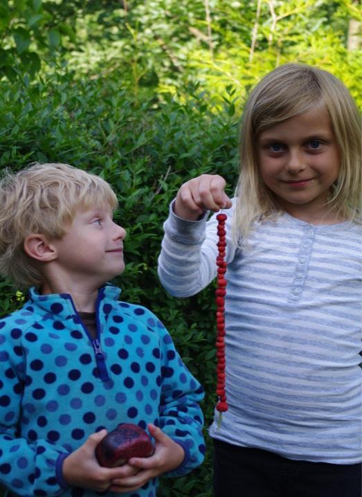 VAD ÄR RIKSFÖRBUNDET SVENSK TRÄDGÅRD Riksförbundet Svensk Trädgård är en ideell organisation, religiöst och partipolitiskt obunden, som främjar fritidsodlingen och trädgårdsintresset för alla åldrar.