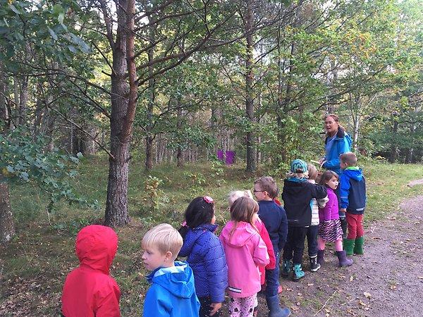 Sagostig till Hustomtarnas Land