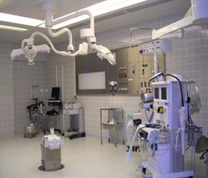 Läkare, sjukvårdare, fysioterapeuter, ergoterapeuter, socialarbetare, talterapeuter och neuropsykologer arbetar i team. Avdelningen tar emot sjukskötar- och närvårdarstuderande.