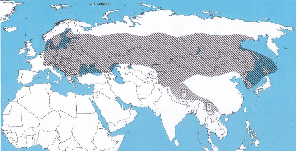 Is it a slow continious western expansion of TBE that we see?