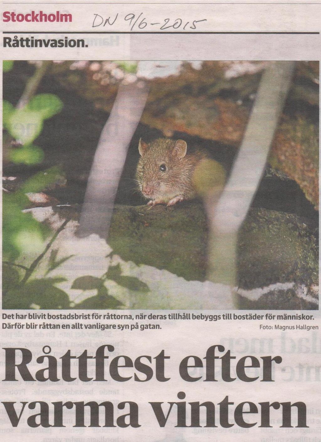 Blir det fästingår i år?