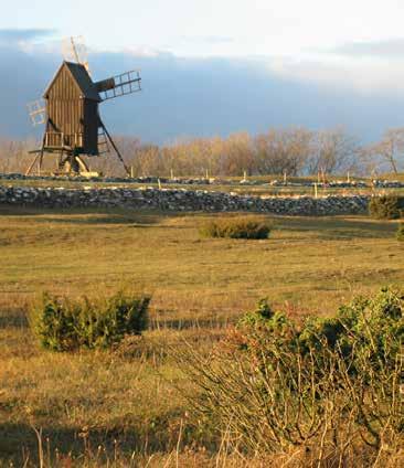 se Hemsida: www.borgholm.