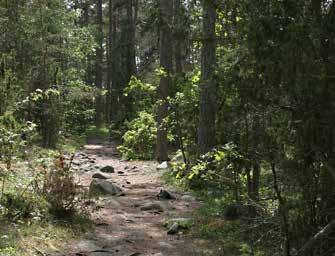 Foto: Ylva Z Skännestigh Öns enda raukfält Byrums raukar finns på nordvästra Öland.