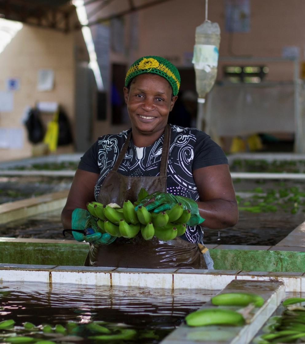 VAD ÄR FAIRTRADE CITY? Fairtrade City är en diplomering till kommuner som engagerar sig för rättvis handel och etisk konsumtion.