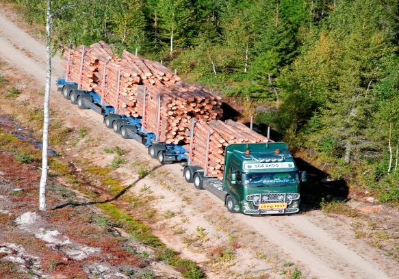 Genom att öka fordonets längd till 30 meter och bruttovikten till 90 ton skulle virkestransportens effektivitet konkret kunna ökas. Vinsten blir då att ytterligare en trave får plats per vända, d.v.s. fyra travar istället för tre.