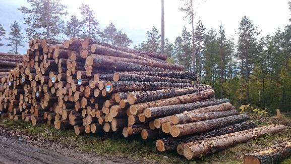 Leverantörsnummer Leverantörsnamn i klartext Mätmetod Sortiment och trädslag Eventuellt kollektiv Uppgifter om certifiering Leverantörskod Fällningsvecka Mätningsbestämmelser om det avviker från