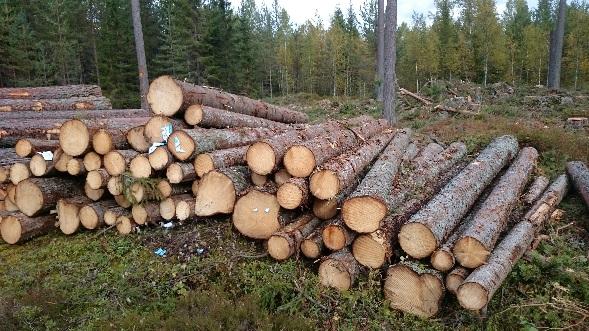 2 Rundvirkessortiment Det är viktigt att transportören som transporterar rundvirke har kunskap om och känner igen de vanligaste trädslagen samt kan skilja på olika virkessortiment.