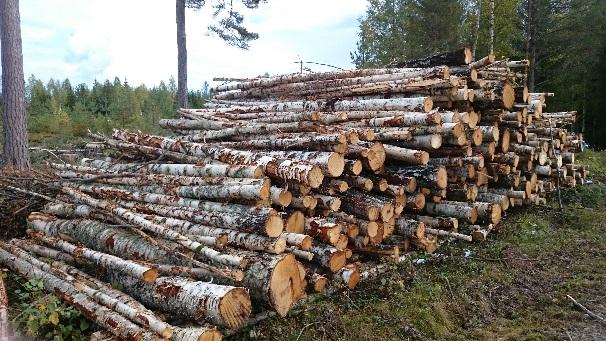 Massavedssortimenten innefattar rundvirke som är avsett för massatillverkning.