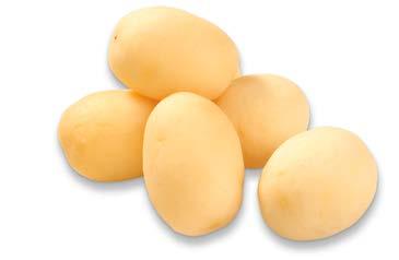 (kalciumklorid), antioxidationsmedel (askorbinsyra). Gryta: Häll av spadet.