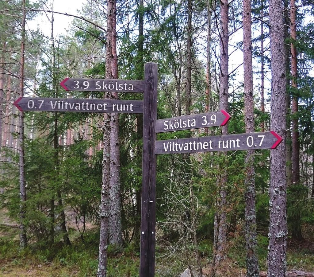 Riktlinjer LIDINGÖ BLÅPLAN Lyft naturvärden och kulturhistoriskt intressanta platser I samband med skyltning av strandpromenaderna kan olika intressanta kulturhistoriska målpunkter lyftas fram för