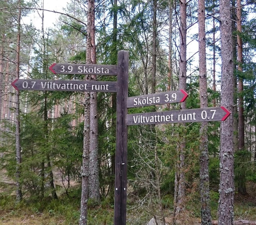 4. Riktlinjer LIDINGÖ BLÅPLAN Lyft naturvärden och kulturhistoriskt intressanta platser I samband med skyltning av strandpromenaderna kan olika intressanta kulturhistoriska målpunkter lyftas fram för