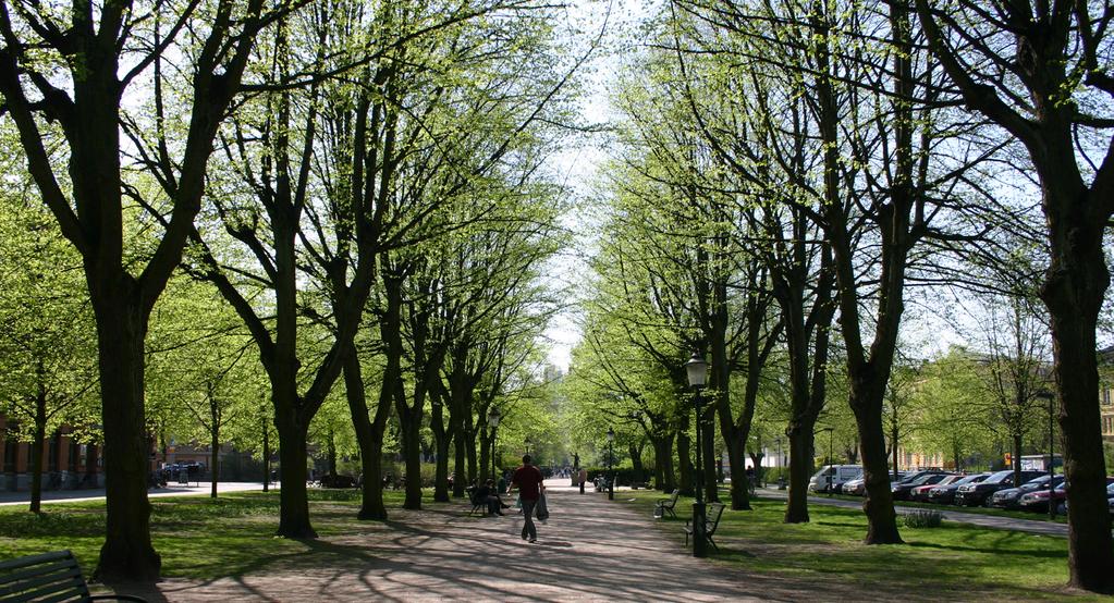 Vem utför den dagliga skötseln av stadsträd på allmän platsmark? 68,5 % Sett till kommande tre åren (2016-2018), tror du att uppdelningen av skötseln av stadsträden kommer att förändras?