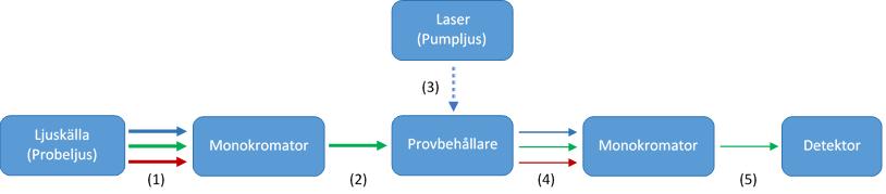 För att beräkna den transienta absorbansskillnaden, A(λ,t), kan Ekvation 2 användas, A(λ,t) = (ε(λ) ε S0 (λ)) l c (2) där ε(λ) och ε S0 (λ) är absorptionskoefficienter vid det exciterade tillståndet