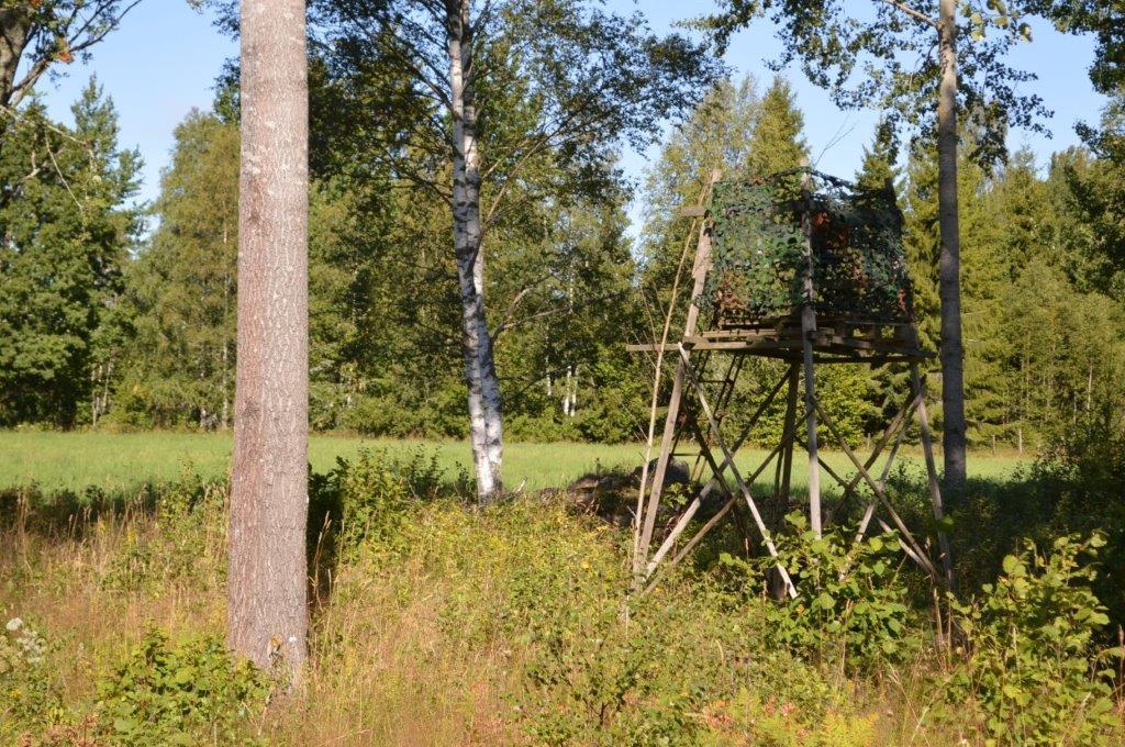 Jakt och fiske Förekommande viltarter är älg, rådjur och vildsvin m.fl. Marken är ansluten till Uppvidinge Norra älgskötselområde. Älgjakten bedrivs som gemensamhetsjakt. Enskild småviltsjakt.