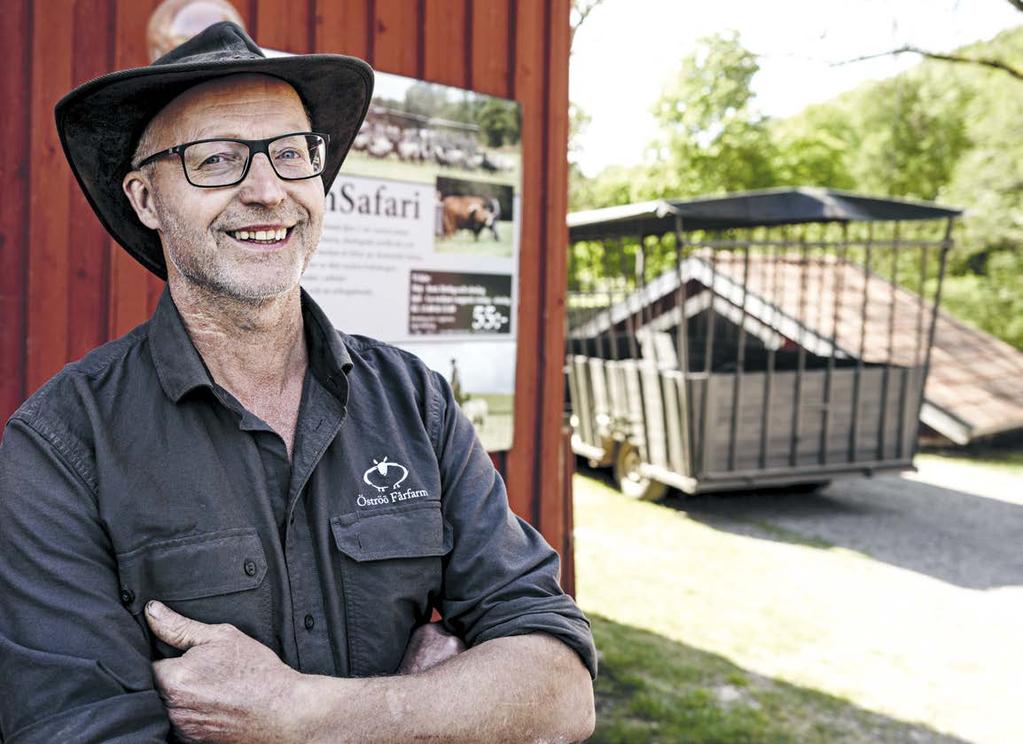 Under sommarens högsäsong är de tjugo. Tre personer arbetar i slakteriet. Det är lätt för ungdomarna i trakten att få sommarjobb.