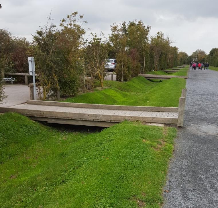 Figur 8. Ett svackdike i anslutning till gång och cykelstråk.