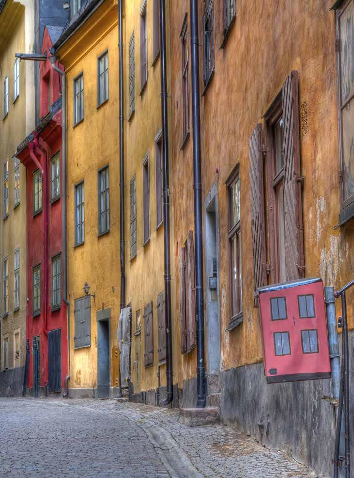 RIKSSTÄMMAN UTVECKLINGSDAGEN