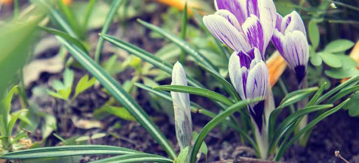 Reumakalender 2018 15 mar SK-liknande kurs: Bild och funktionsmedicin 15-16 mars Göteborg 21 mar 11th European Lupus meeting 21-24 mars Düsseldorf 10 apr Översiktskurs i
