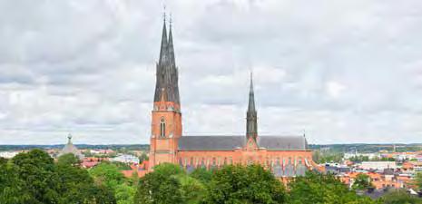 se Lotta Ljung Vice ordförande Reumatologkliniken Västerbotten Norrlands Universitetssjukhus, 901 85 Umeå Tel: 090-7851374 lotta.ljung@vll.