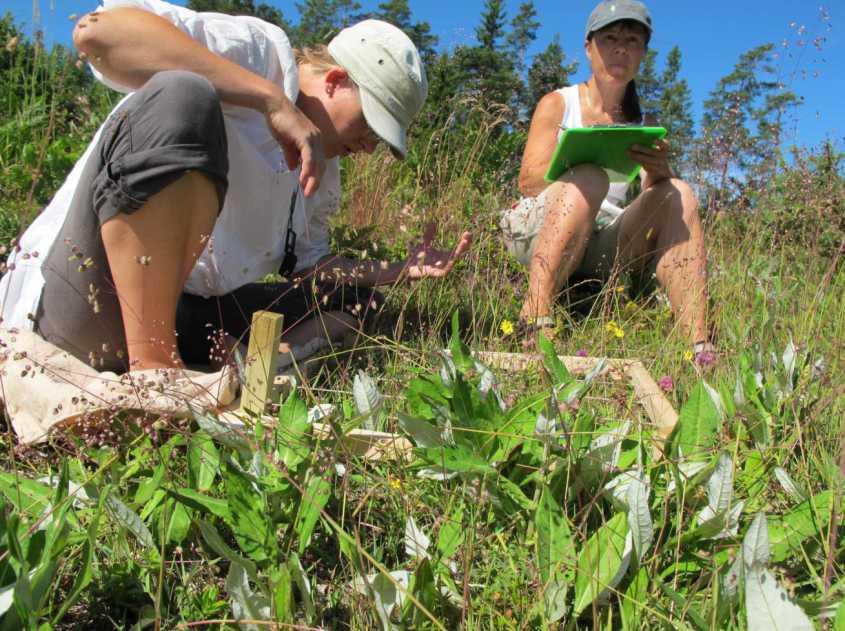 Inventering och skötselförsök i samarbete med SLU Inventering 2002, 2004, 2005 och 2010 Jälla, Faringe och Vigelsbo i