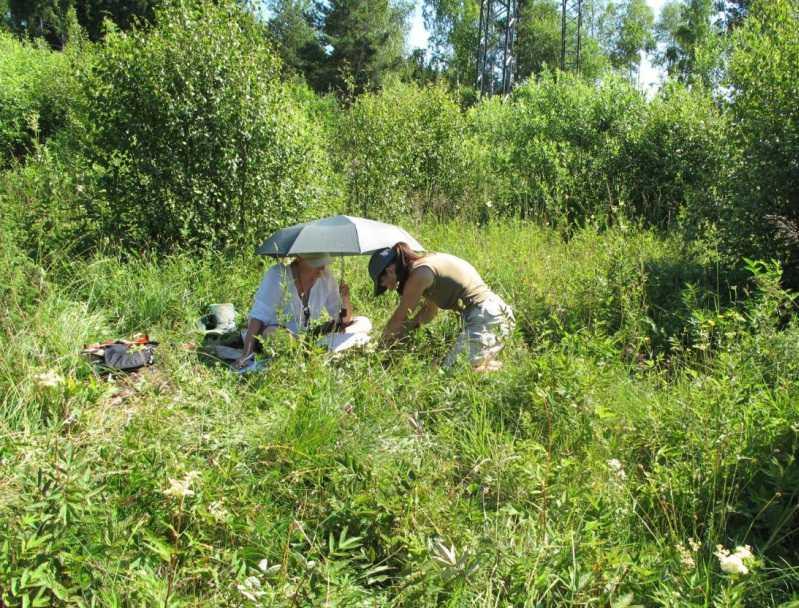 Inventering 2006/2007 och 2010 Lydinge i Uppland Inventeringarna visar att områdena är mycket artrika, trots sin storlek