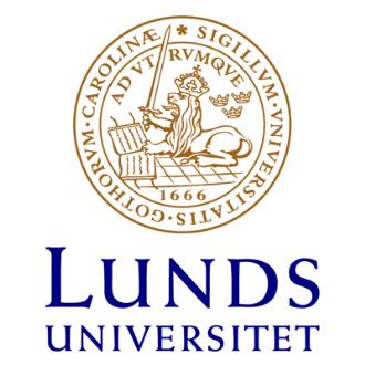 Gummigranulat på konstgräsplaner - En miljörisk till följd