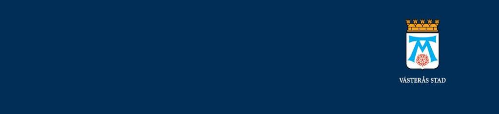 Uppföljning av stadens program för förmånscykel 2016-2017