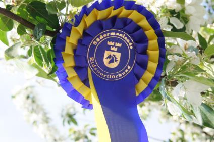 Tävlingskommittén Tävlingskommittén har under 2016 bestått av: Ordförande Ann Holmqvist, Mariefreds RK (ordförande) Ledamot Jenny Appel, Smedstorps RS Annette Karlsson, Katrineholms RF