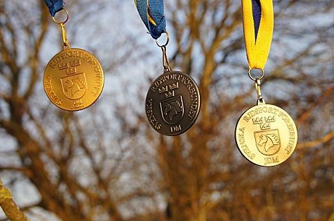 Distriktsmästare 2016 Under 2016 har DM ridits under samma koncept som tidigare år, det vill säga som en serietävling under året.