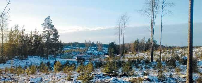 10 Medlemskap i Skogsreviret Medlemskapet i skogsreviret fortsätter automatiskt genom att man betalar medlemsavgiften till reviret. Ansökan för nya medlemmar lämnas skriftligt, t.ex. per e-post.