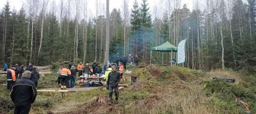 11 Text: Stefan Borgman Samarbete är skogsägarnas trygghet Skogsreviret kommer även i fortsättningen att erbjuda sina medlemmar tjänster med lokal förankring som främjar lönsamheten och den hållbara