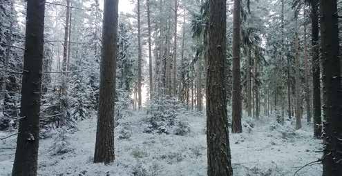 15 i fokus på en del av fastigheten och på en annan del kan ett vackert landskap vara det viktigaste målet.