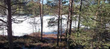 Översättningsgranskningar Ulla Inkeroinen Tidningens bilder