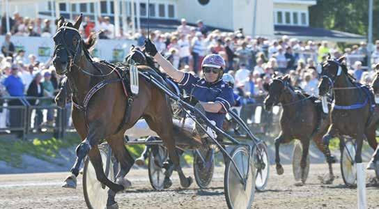 Gävle 16 december E 019 ANMÄL DIN HÄST SENAST 8 FEBRUARI!