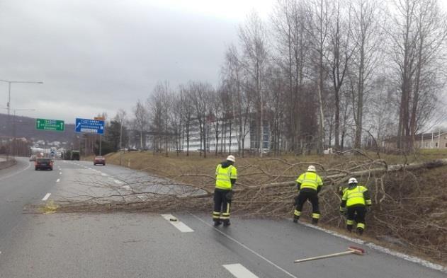 2.4.1 Brottsförebyggande arbete Under året har ett brett och betydande brottsförebyggande arbete bedrivits i kommunens olika arbetsgrupper.