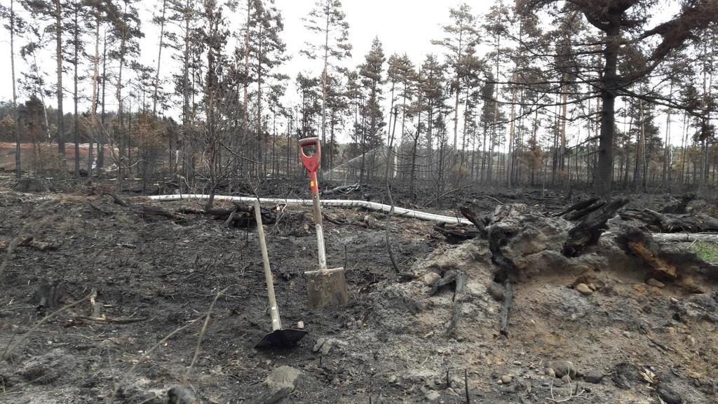 För att hjälpa varandra styrs kommunernas styrkor om och skickas till aktuell händelse.