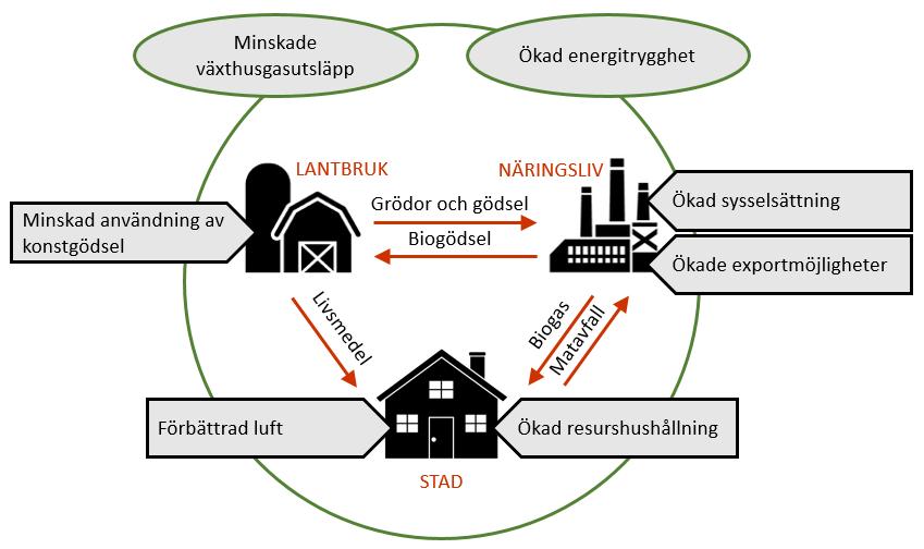 28 Figur 3. Schematisk bild över var olika nyttor med biogas väntas uppstå, d.v.s. mottagare av nyttan.